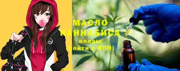 соль ск Надым