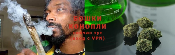 соль ск Надым