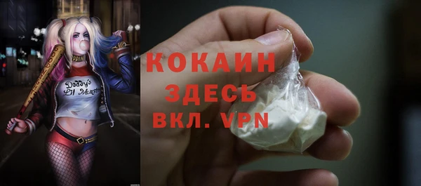 дживик Навашино