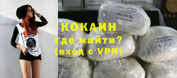 дживик Навашино