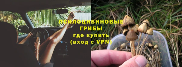 ешки Нея