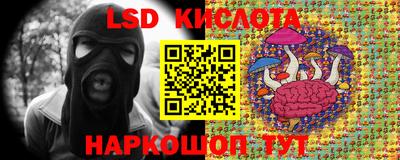 молекула духа Волжский